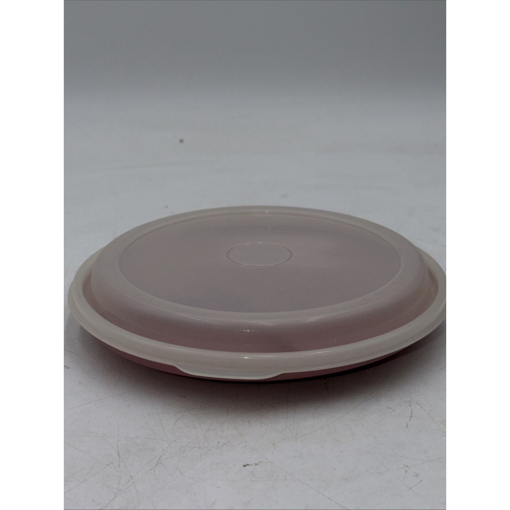 Rubbermaid Pink/Mauve Melamine Divided Plate W/Lid #0339